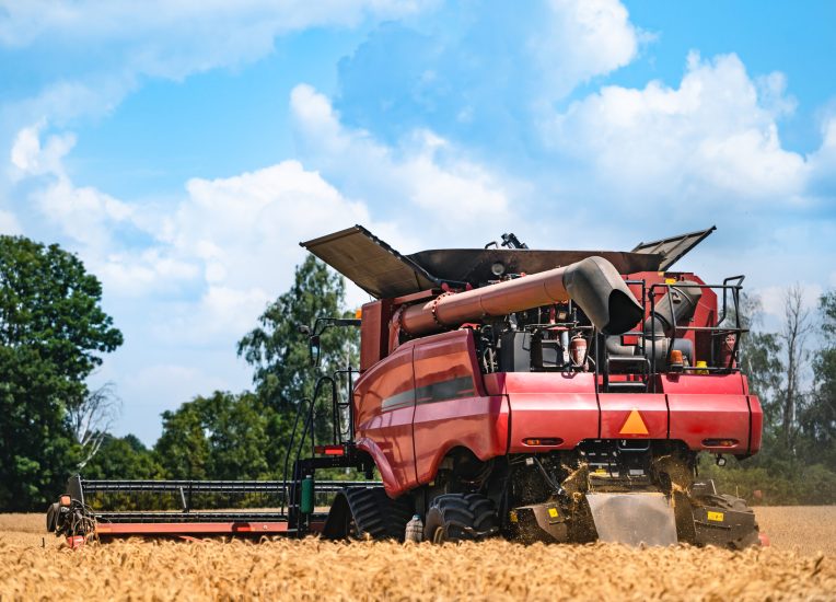 Combine harvester in action on wheat field. Harvesting ripe crop from the fields..